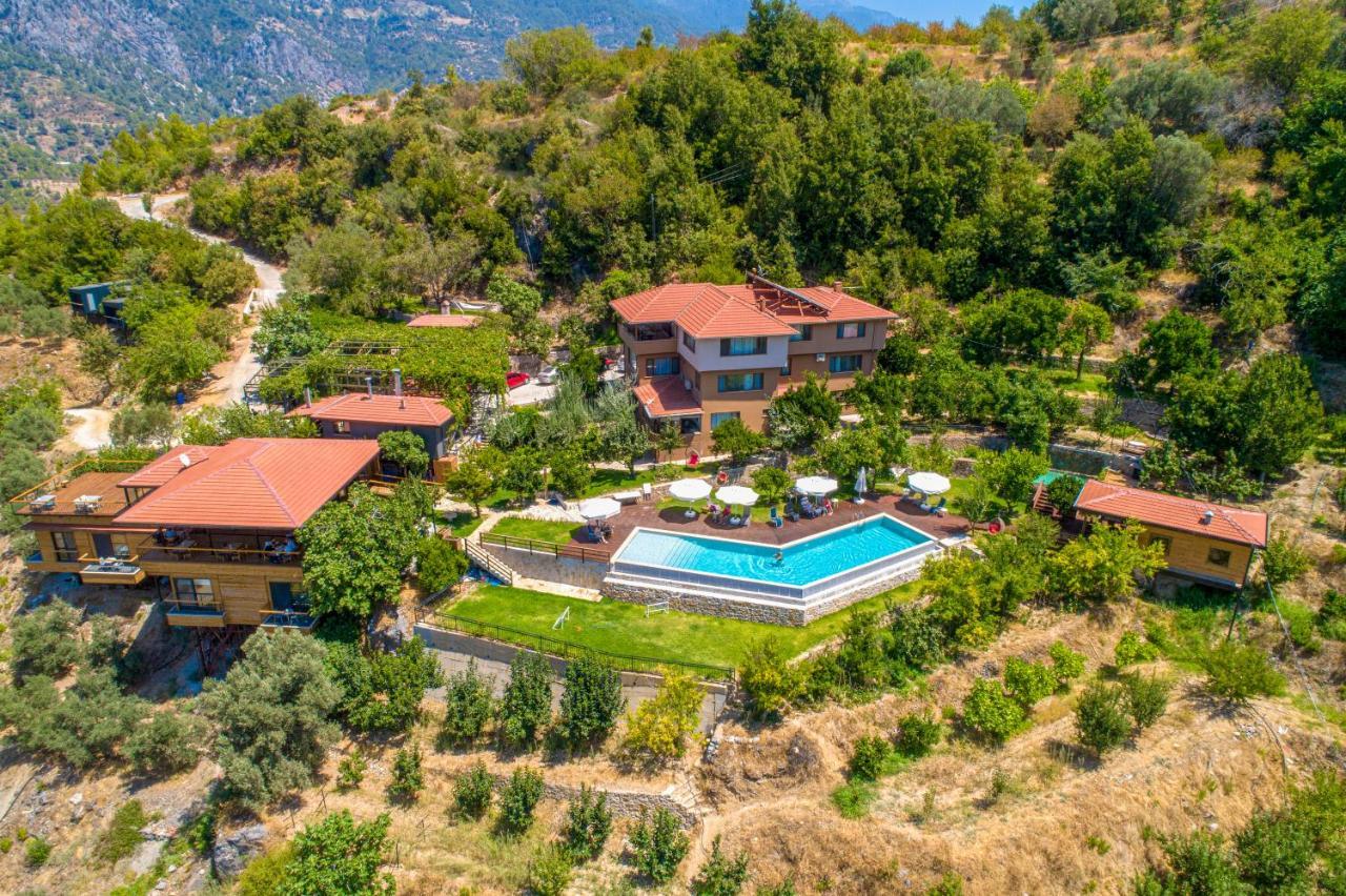 Avena Mountain Boutique - Adults Only