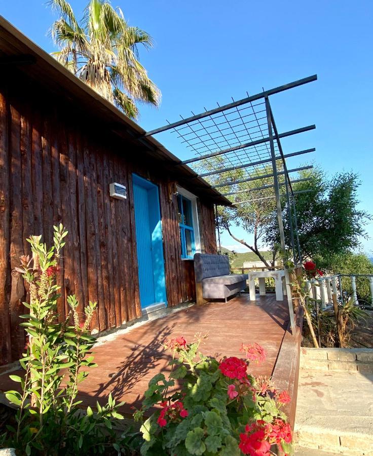 Holiday home Zbb Stylish & Alanya