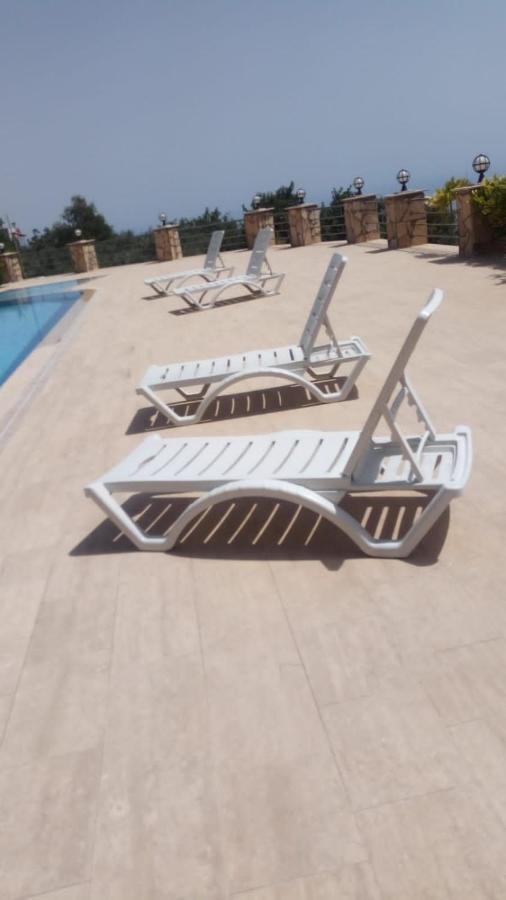 Begon Villa