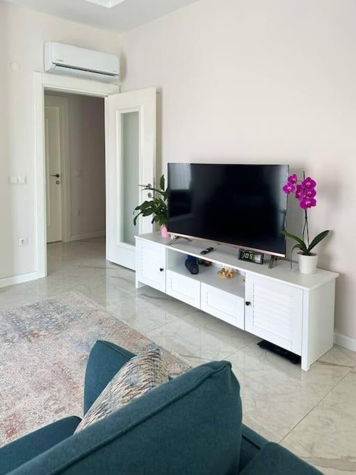 Gem Chic 2 - Br