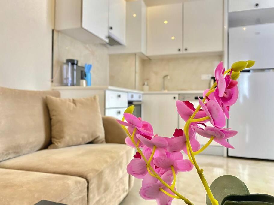 Rose 6 Comfort Living At Cleopatra