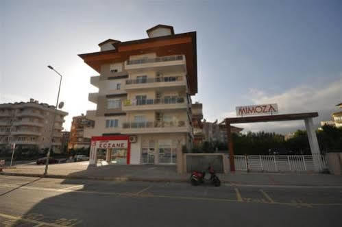 Mimoza Alanya