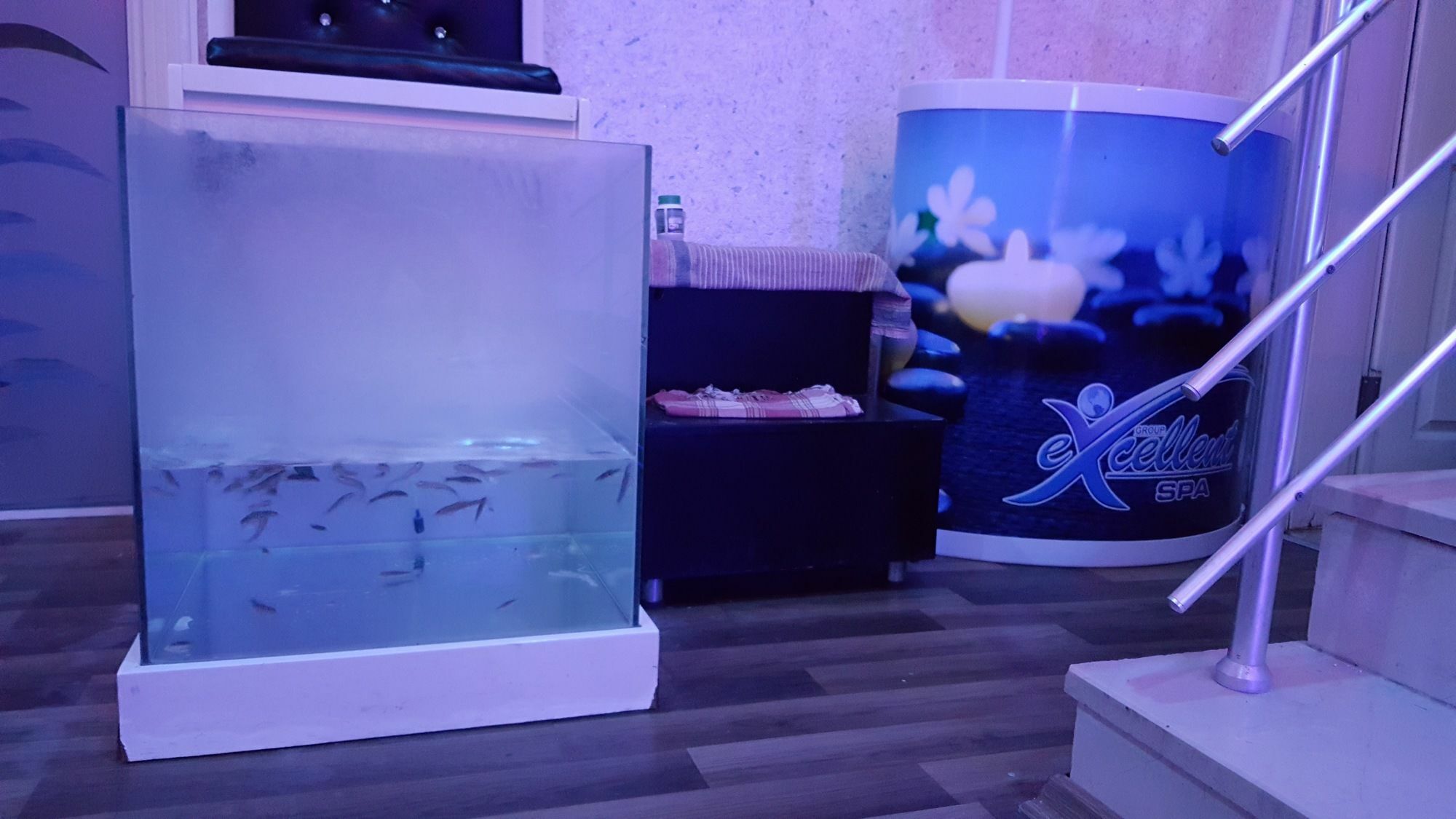 Hotel Kleopatra Togan 4*