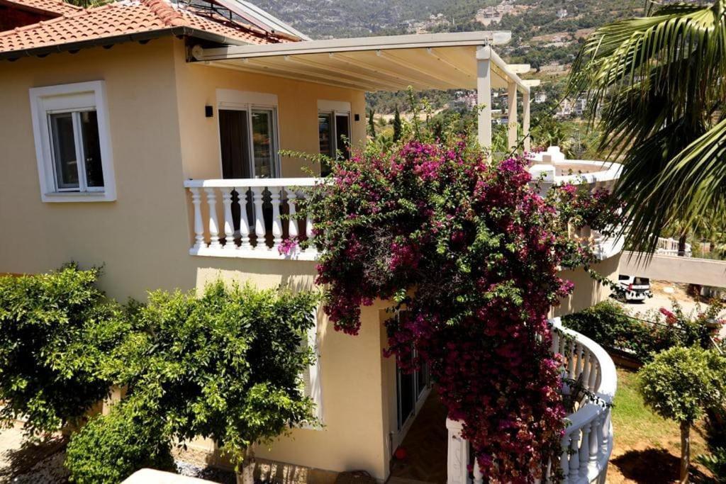 Tepe Villa *