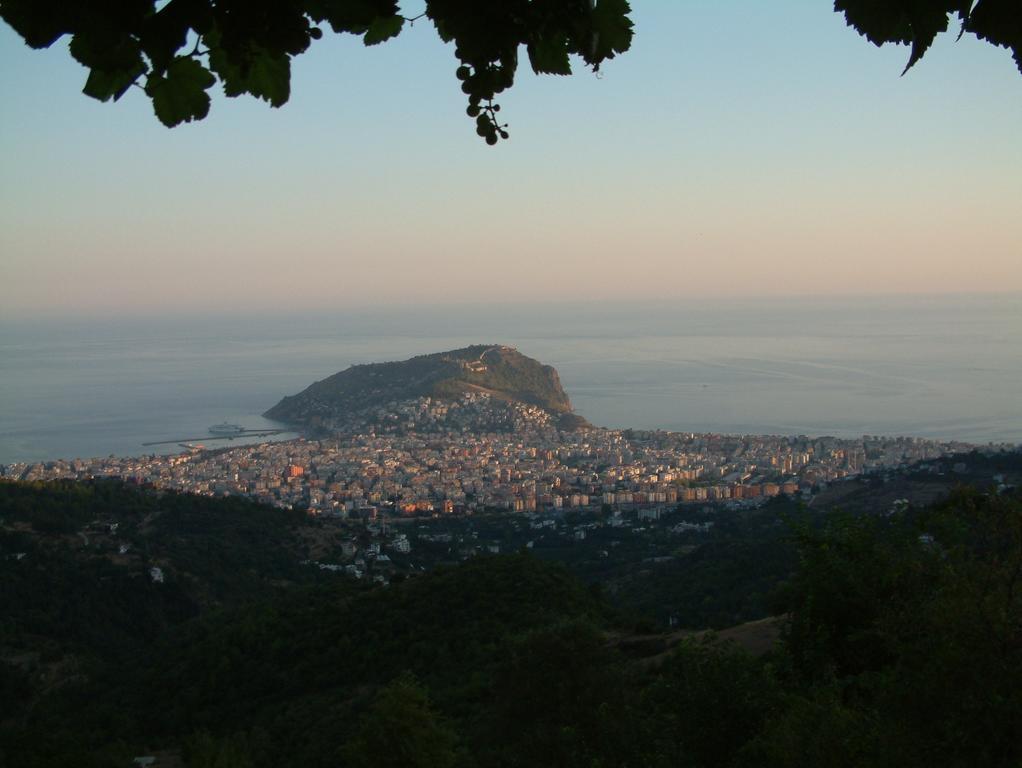 Villa Panorama