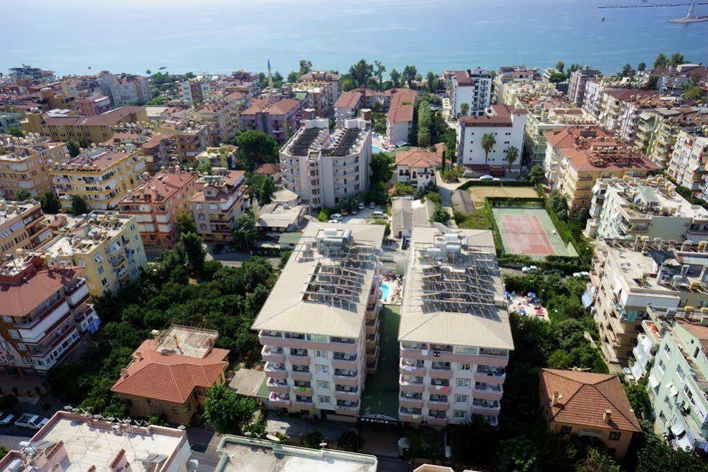 Sealine 3* Alanya