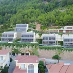 Panoramic Villa With A Pool