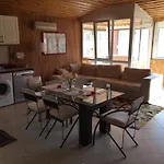 Kleopatra Ilgarhan Home