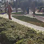 Hill Sun 2