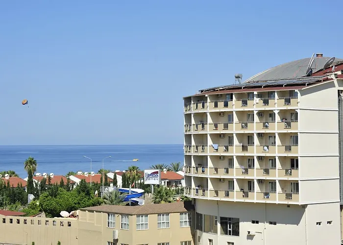 Hotel Lioness