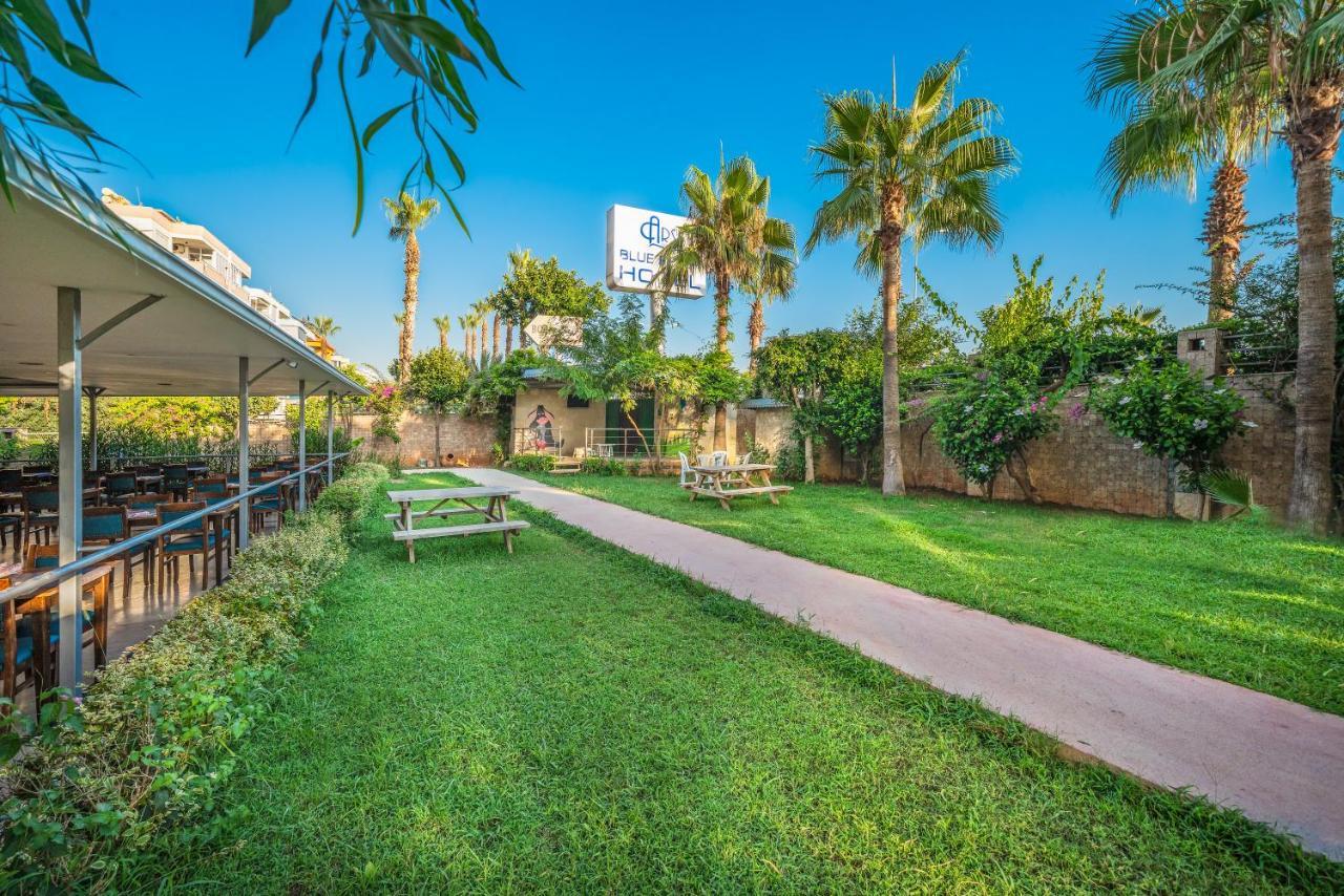 Otel Arsi Blue Alanya