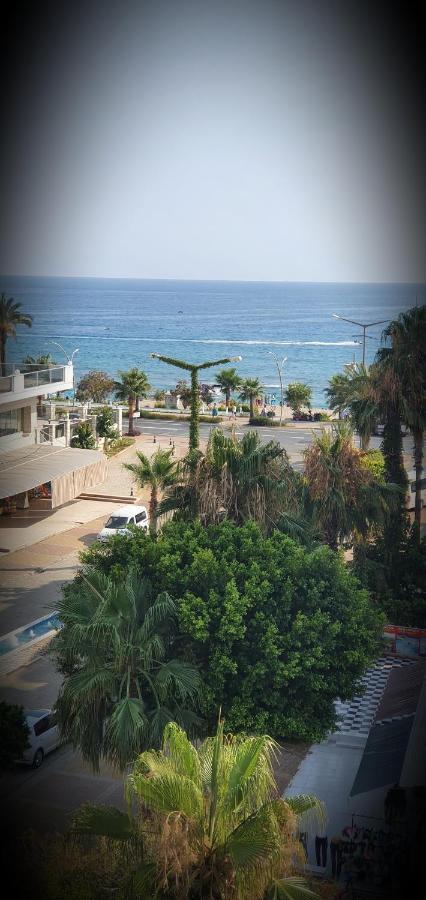 Palmen 3*