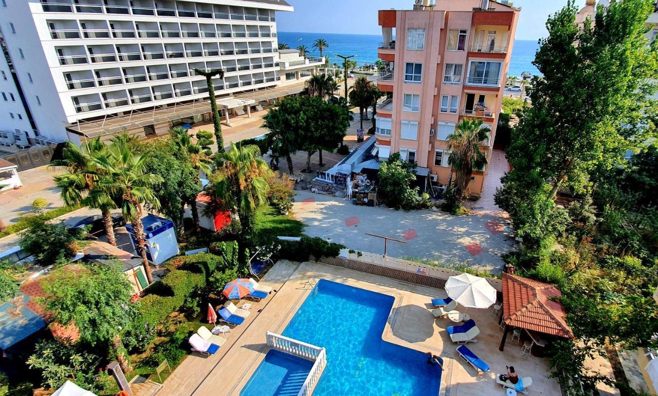 Palmen 3*