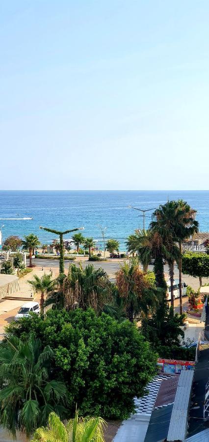 Palmen 3*