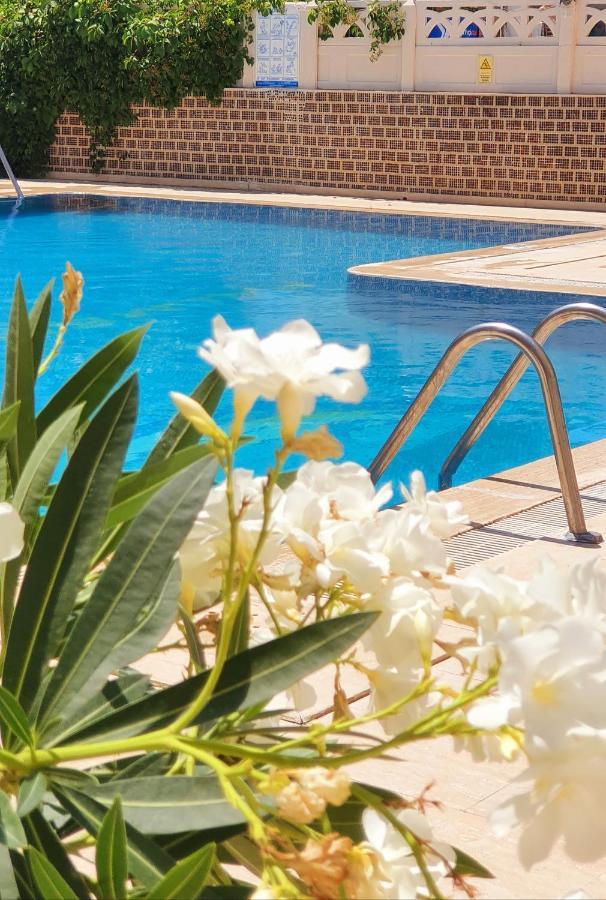 Lejlighedshotel Palmen