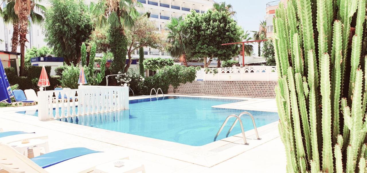 Palmen 3*