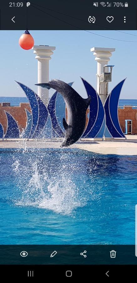 Granada Luxury 800м от пляжа клеопатра Aparthotel Alanya