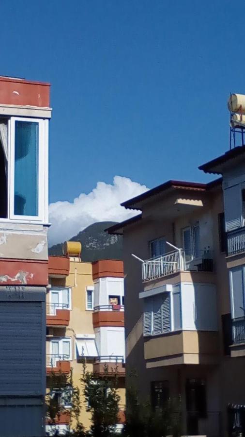 Manolya Apartment. Alanya, Center *