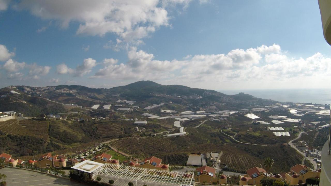 Gold City квартира Family Alanya