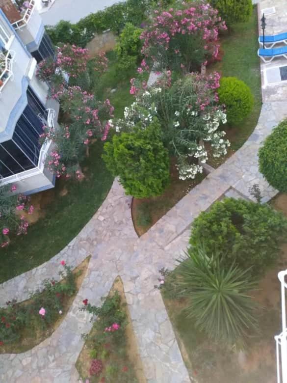 Apartment Druid Grove Residance
