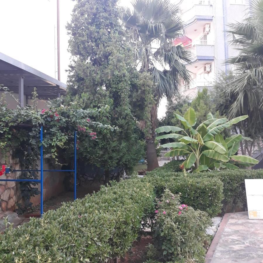 Druid Grove Residance Apartment Alanya