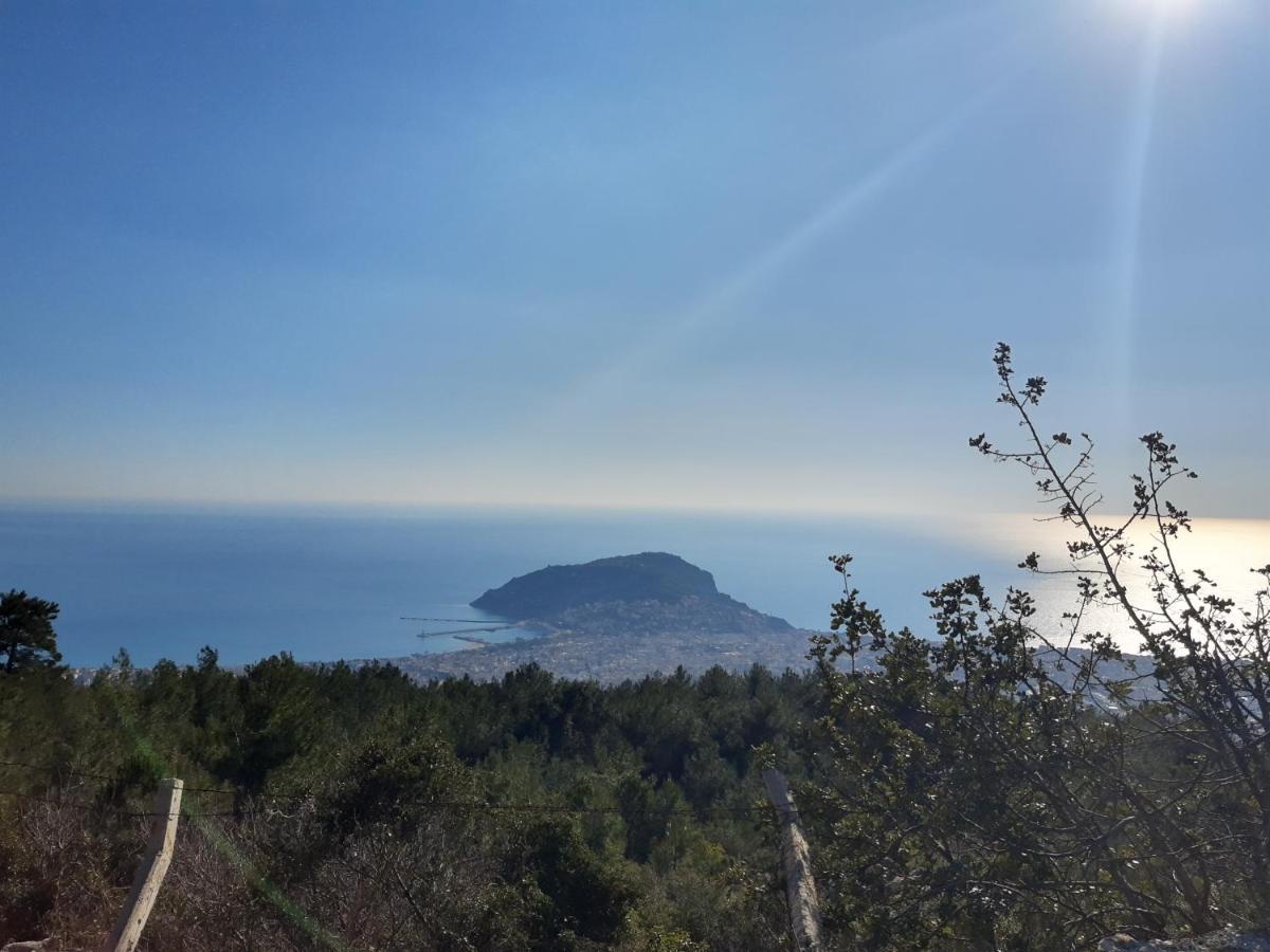 Galaxy 3 Apartamento Alanya