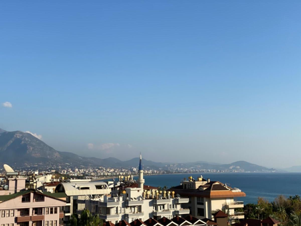 Apartamento 1+1 New Cozy In The Center Of Alanya.