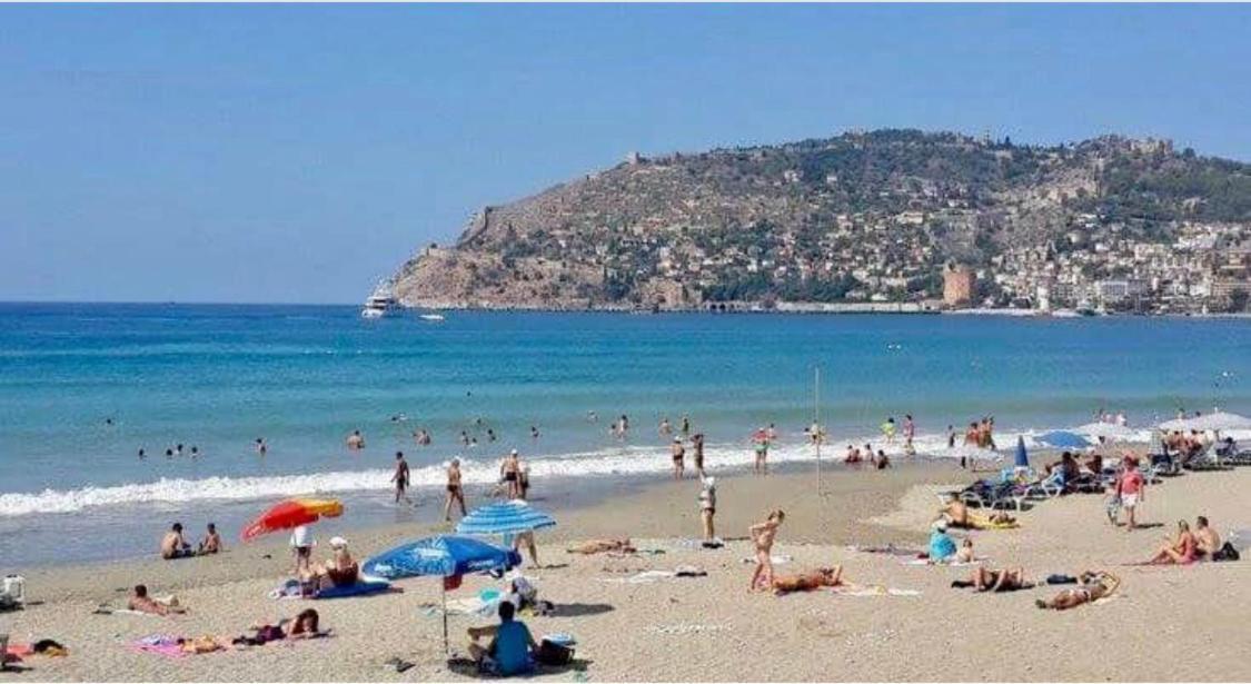 1+1 New Cozy In The Center Of Alanya. Apartamento Alanya