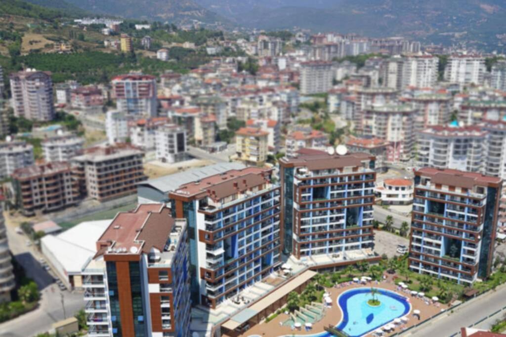 Apartment Crystal Park 2-56 *