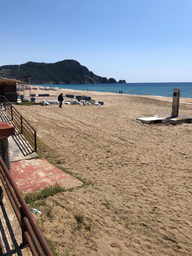 Cleopatra Sultan Alanya