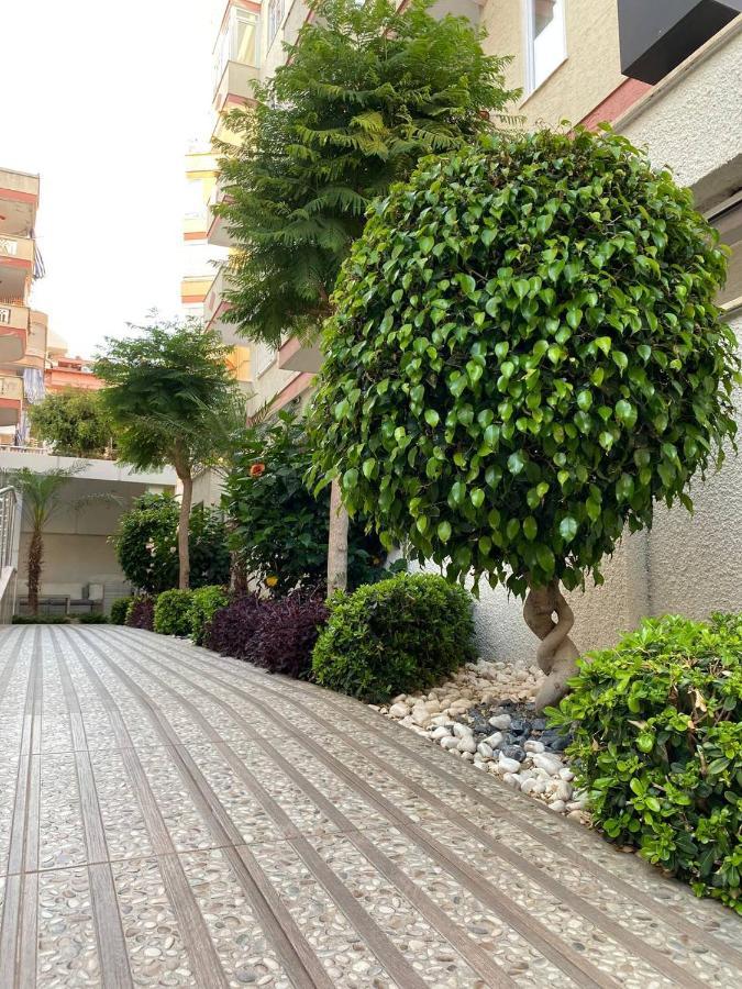 Besthome17 No 3 Alanya
