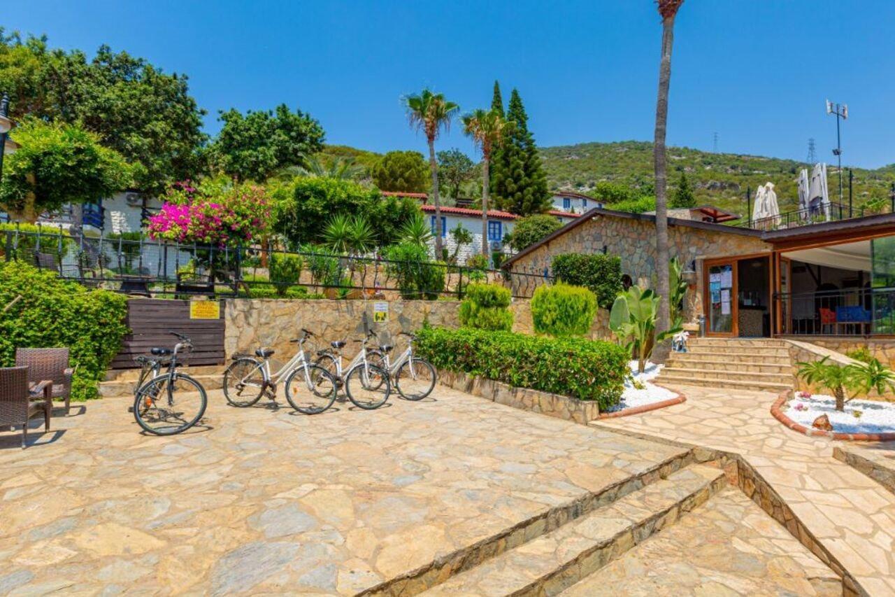 La Marina (adults Only)