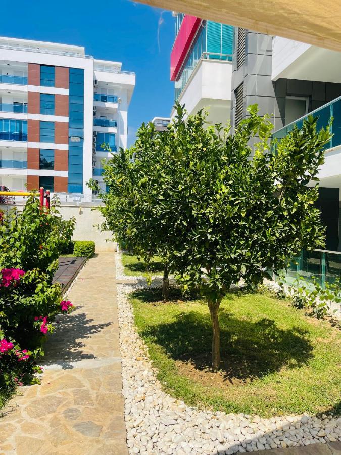 Alanya Kleopatra Beach Full Komplex Apartment Alanya