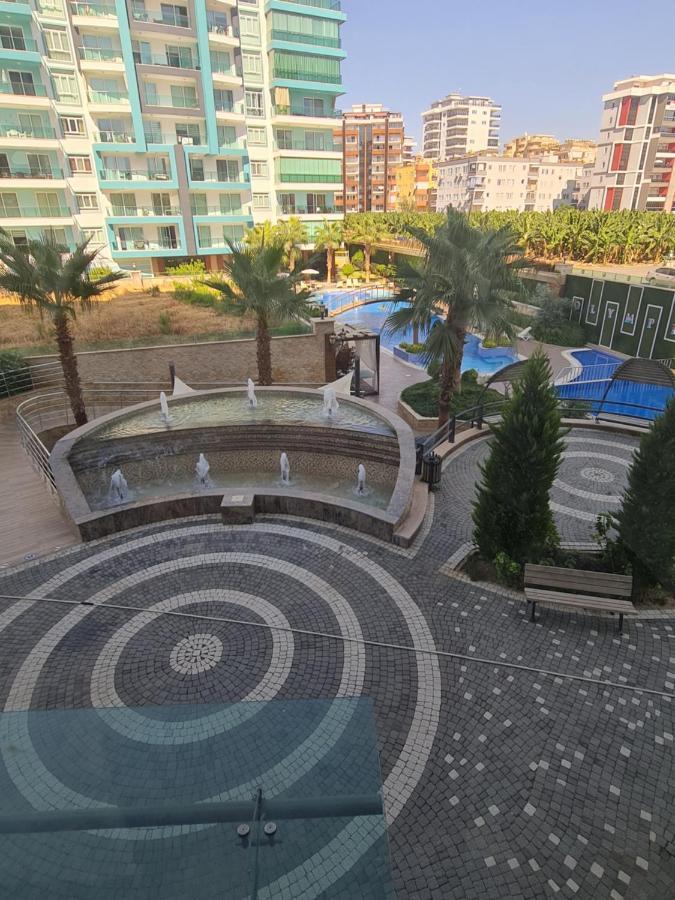 Olimpia Garden 219 *
