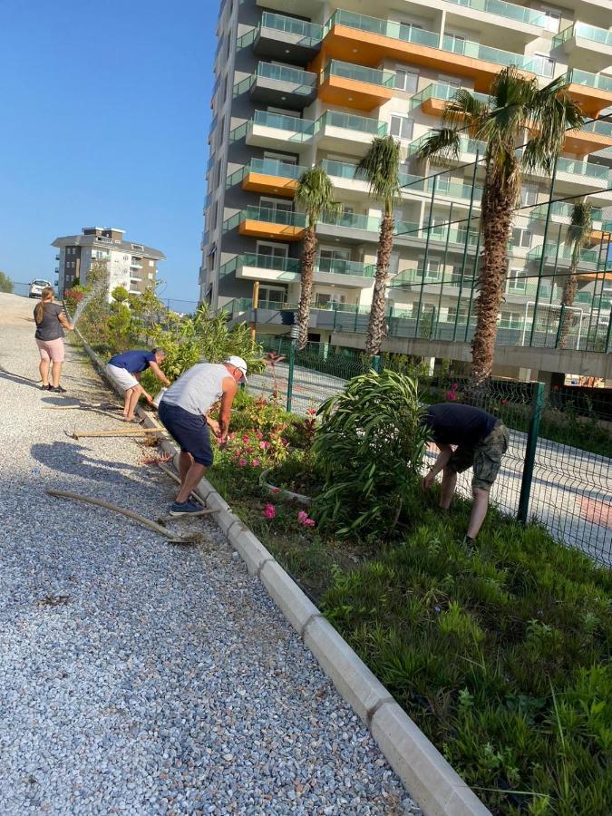Apartment Olive Garden Orion 7 *
