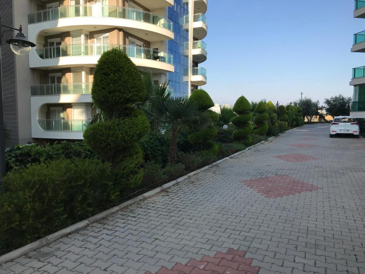 Apartment Olive Garden Orion 7 *