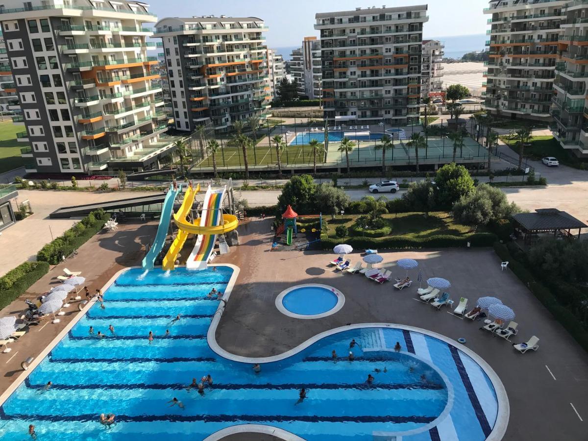 Apartment Olive Garden Orion 7