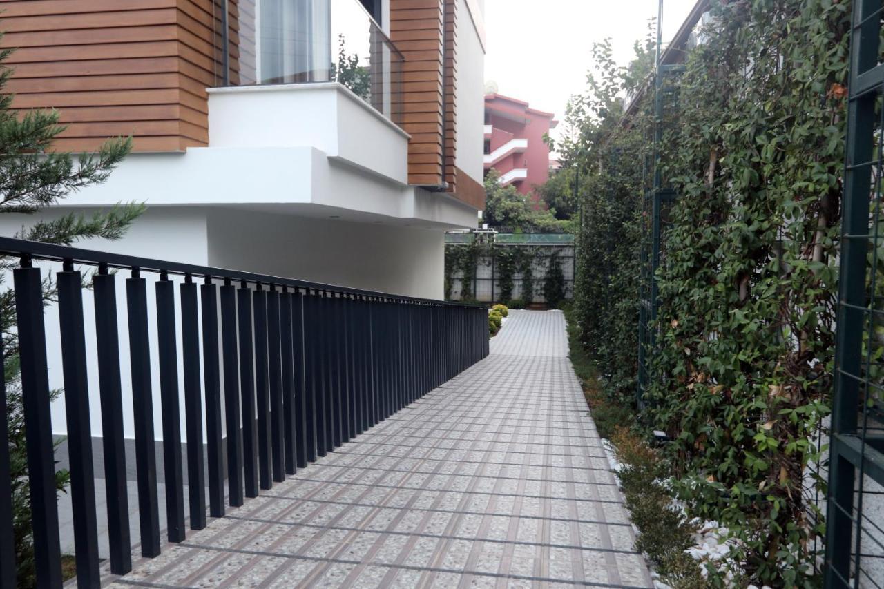 26 Cleopatra Legacy No 8 Apartment