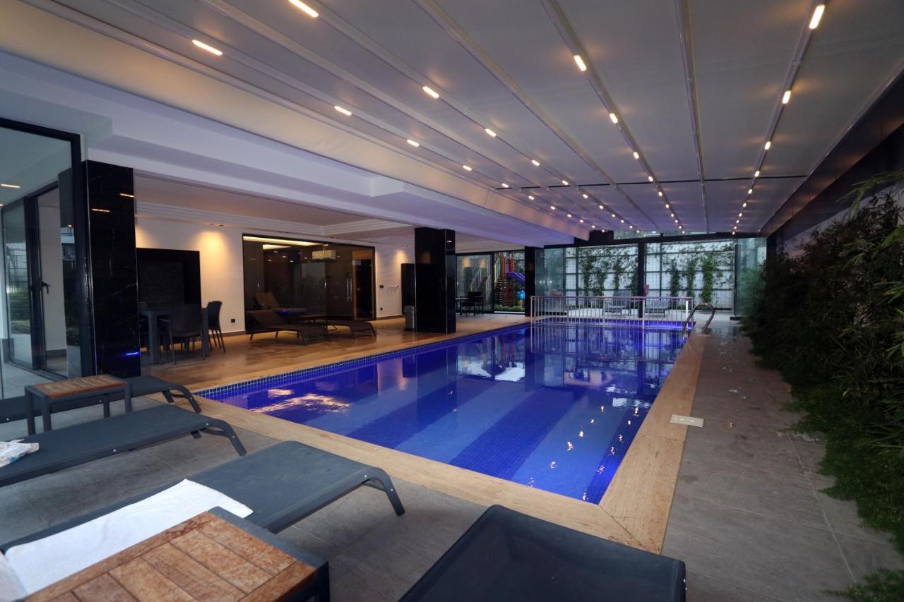 Apartment 26 Cleopatra Legacy No 8
