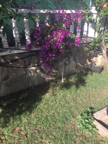 Villa Zehra Private Pool & Garden *
