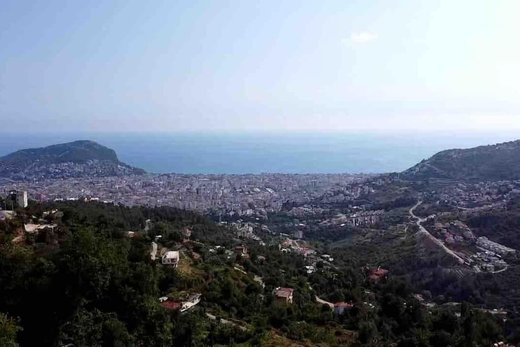 Teras Alanya