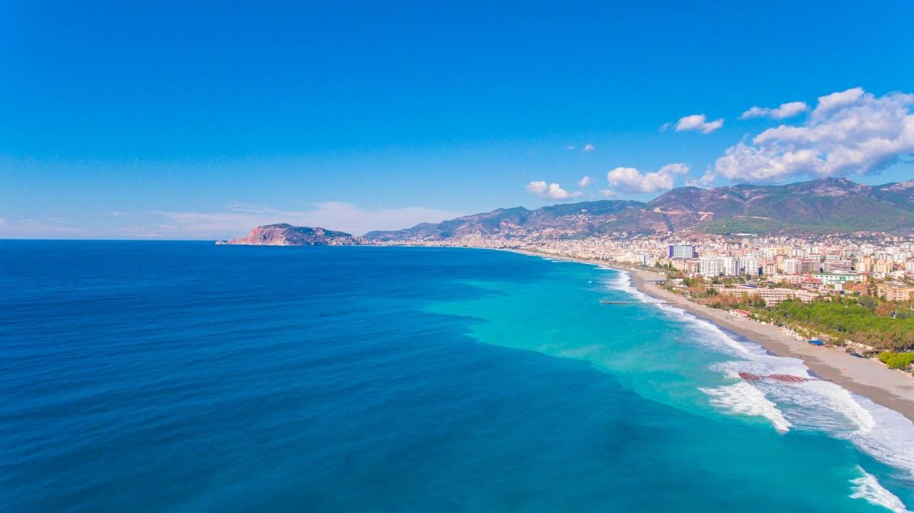 Lory Queen Alanya