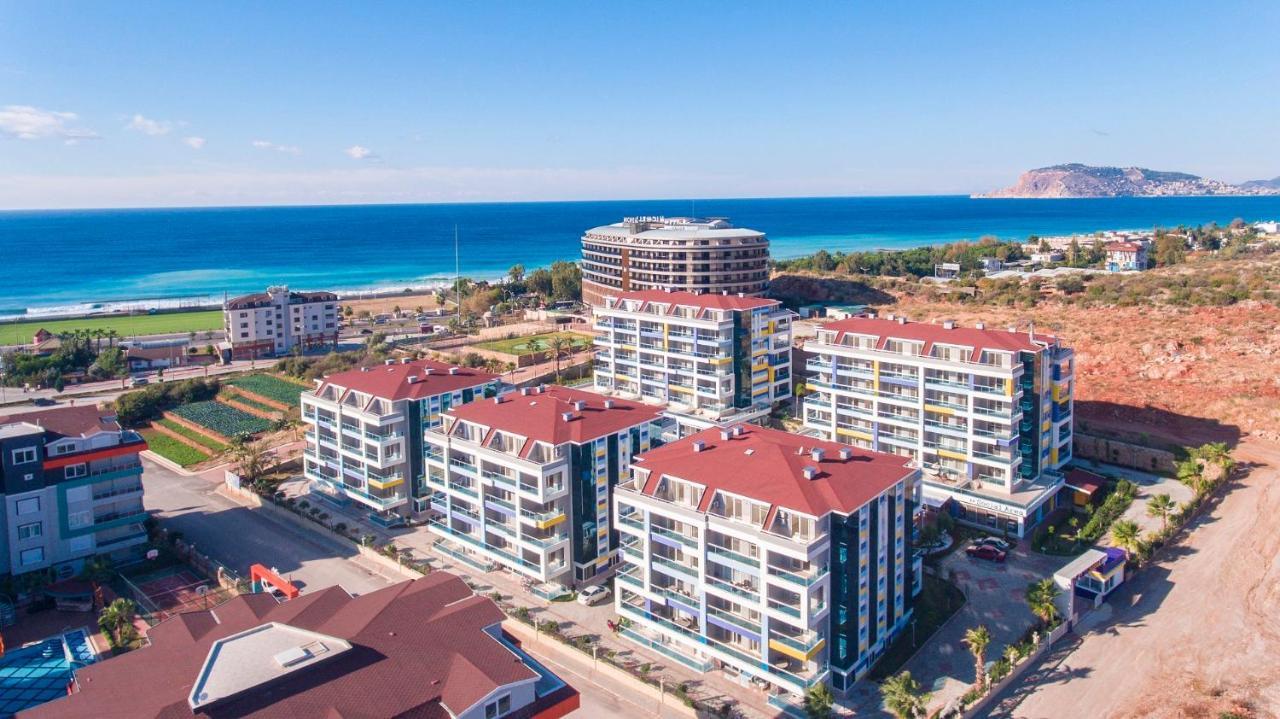 Lory Queen Alanya
