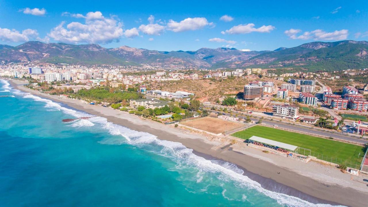 Lory Queen * Alanya