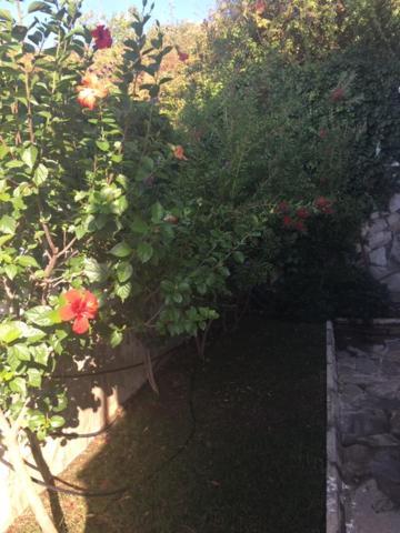 Zehra Private Pool & Garden * Alanya