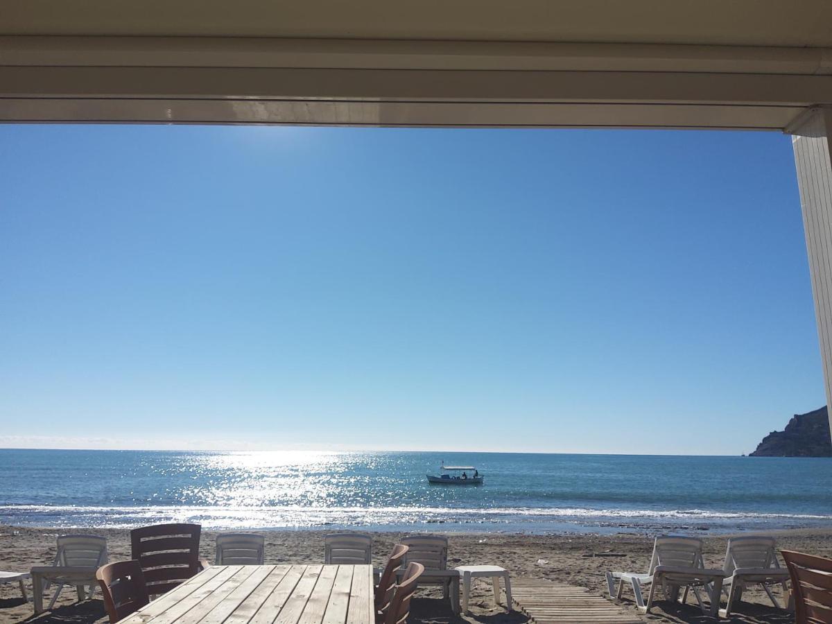 Tower Sky Vegetarian New 2022 Appartement Alanya