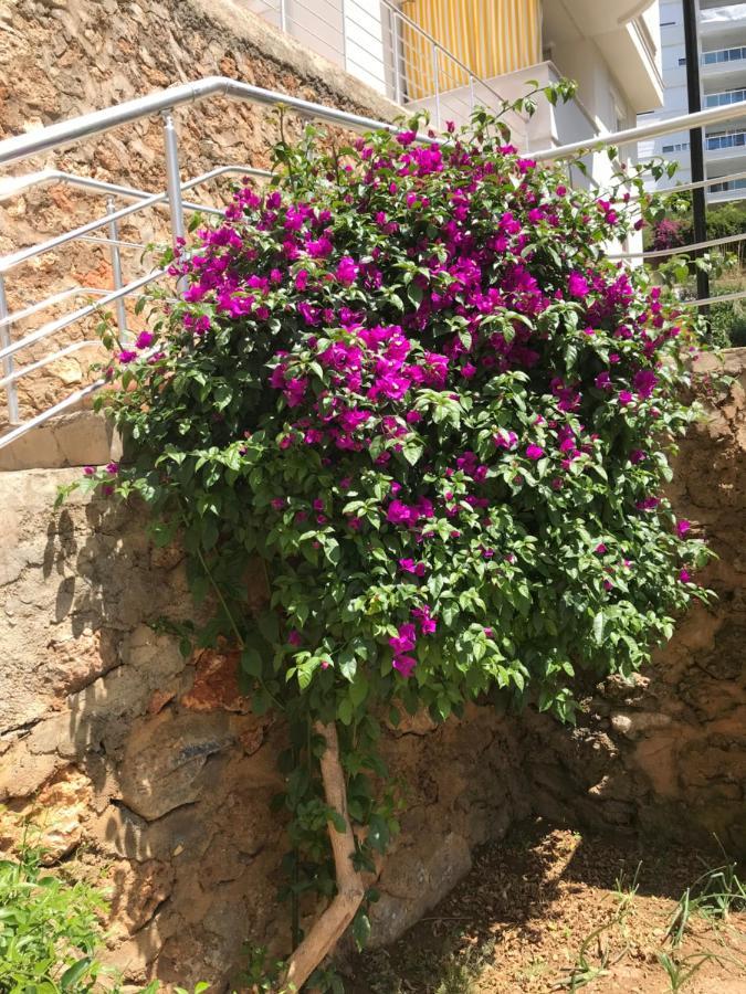 Apartment Waterfall Alanya