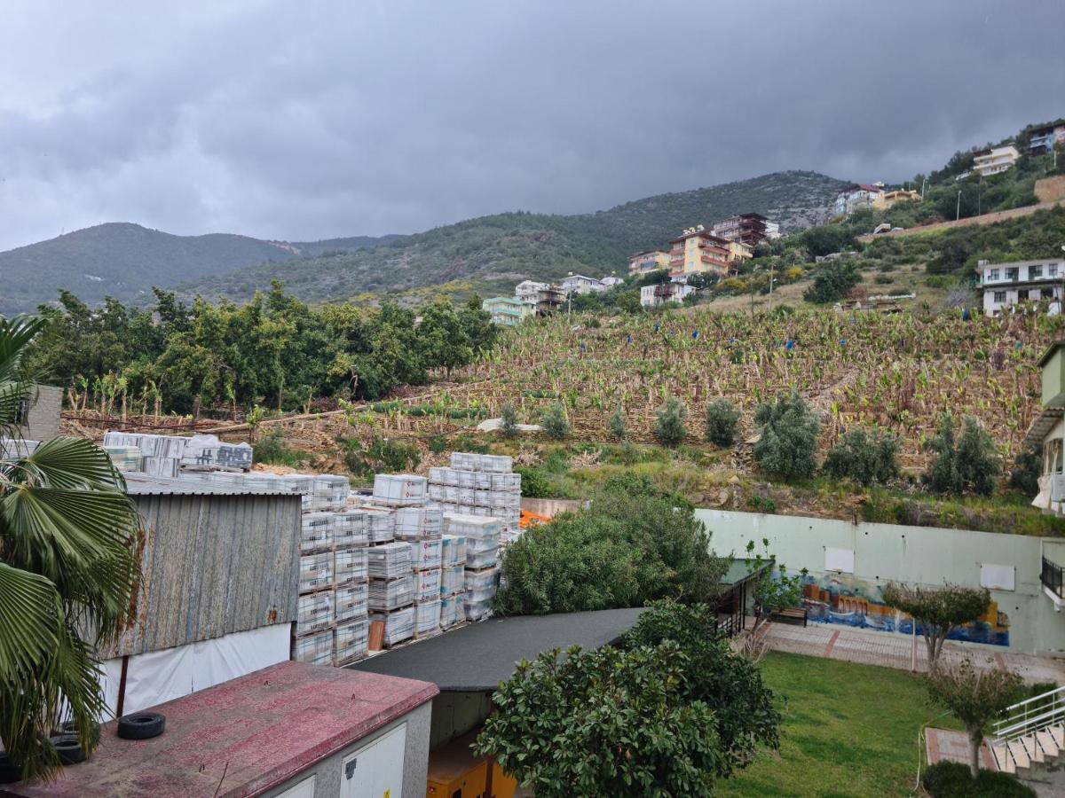 Daire Kleopatra Sultan Rezidans Alanya
