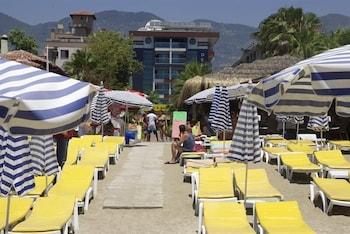 Delfino Alanya