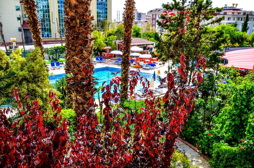 Ark And 3* Alanya